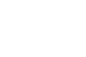 the orcs